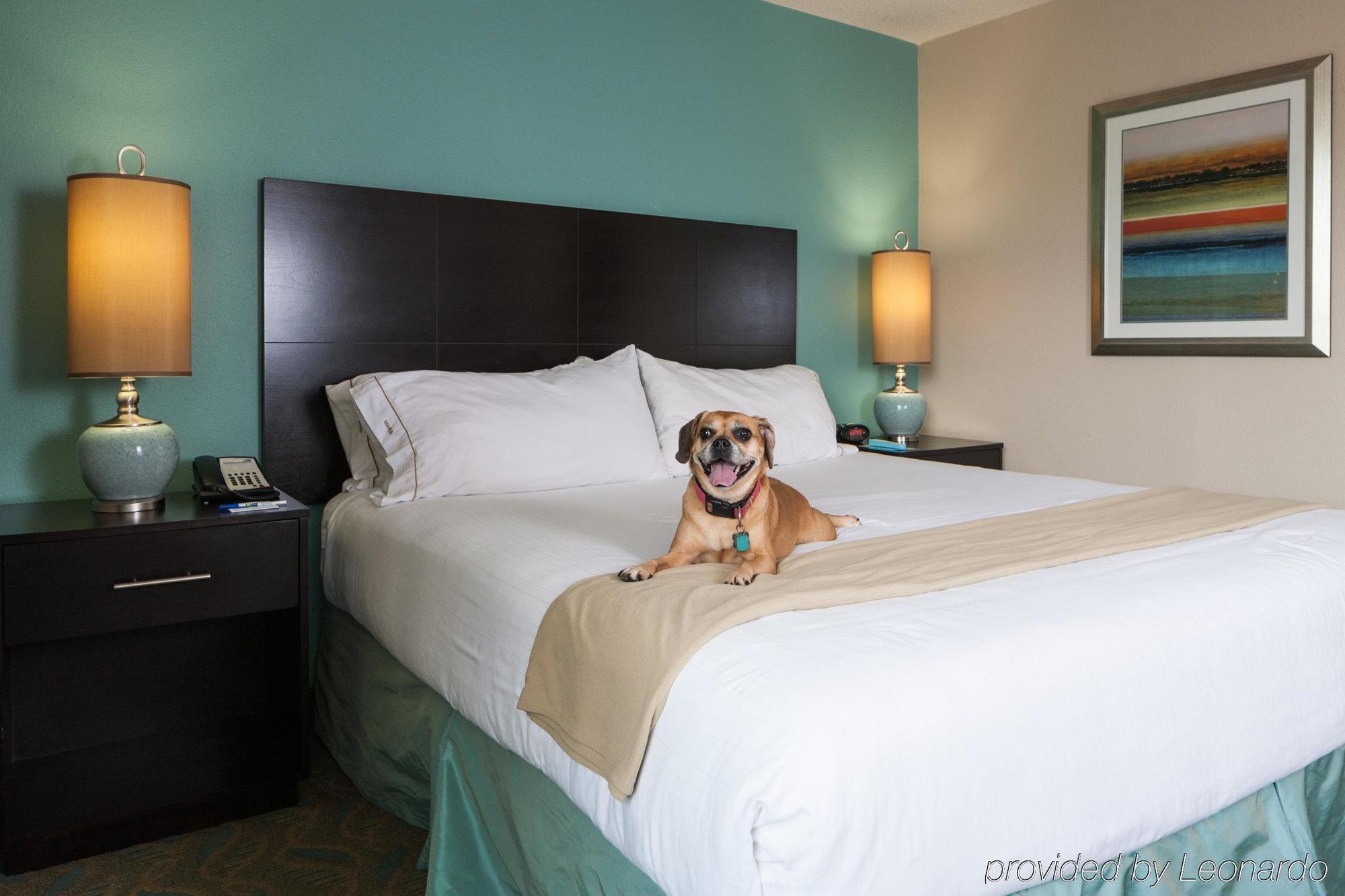 Holiday Inn Express & Suites Charleston Dwtn -Westedge By Ihg Zewnętrze zdjęcie